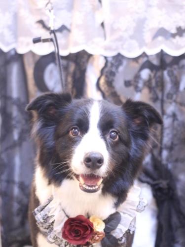 20231028ウィルくん